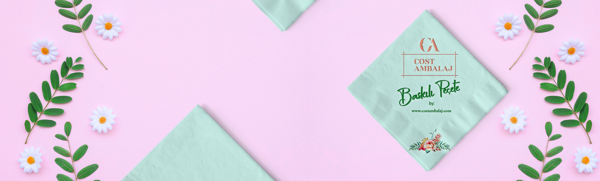 Cost Ambalaj